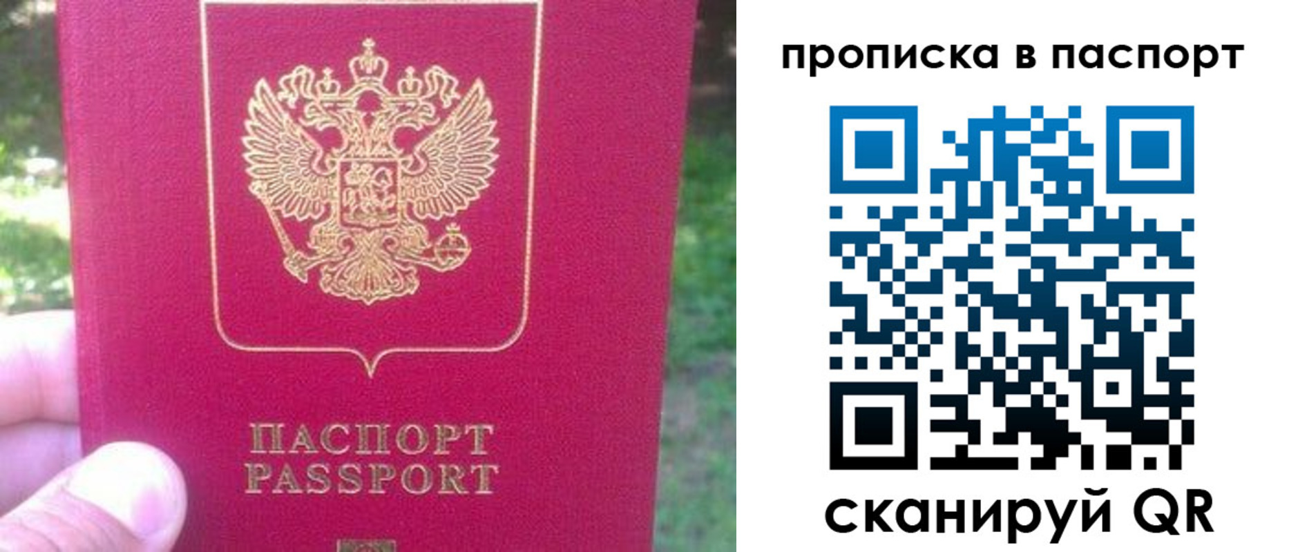 временная регистрация для всех в Скопине